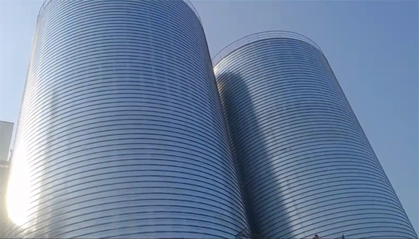 夏邑2座混凝土高架卷板仓